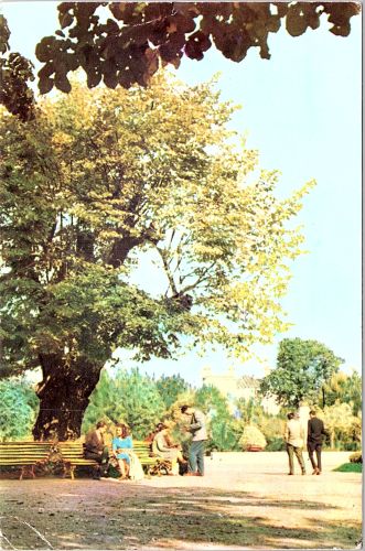 STOMFF_CP_10459_a_Iasi 029; STOMFF_CP_10459_r_Iasi 030 